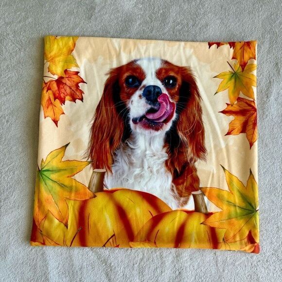 NWOT Fall Square “King Charles Cavalier with Pumpkins” graphic Throw Pillow Cove - Picture 1 of 4